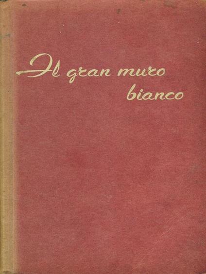 Profezia di zingaro - copertina