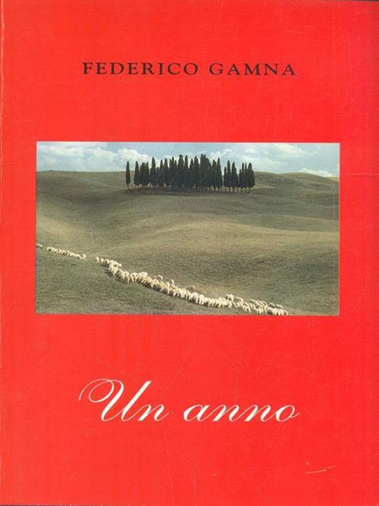 Un anno - Federico Gamna - copertina