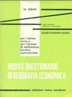 Nuovo questionario di geografia economica