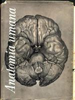 Trattato di anatomia umana II