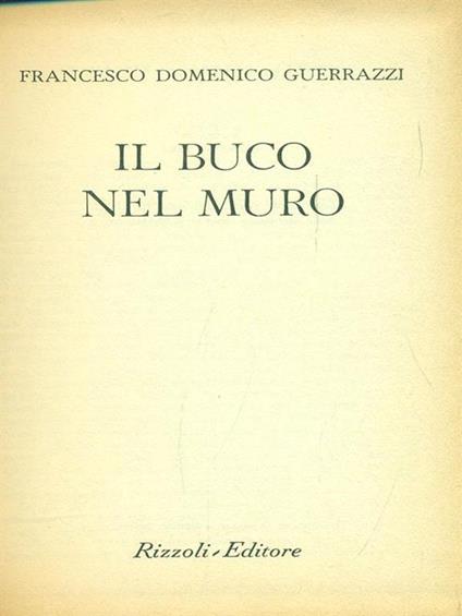 Il buco nel muro - Francesco D. Guerrazzi - copertina