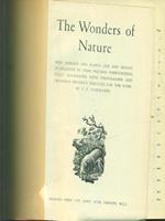 The wonders of nature