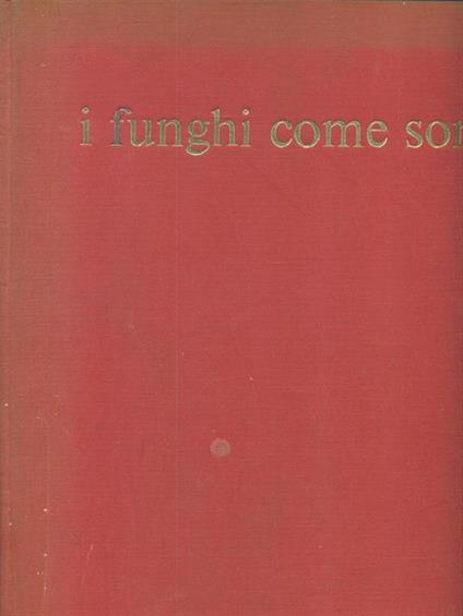 I funghi come sono - Severino Viola - copertina