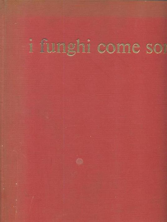 I funghi come sono - Severino Viola - copertina
