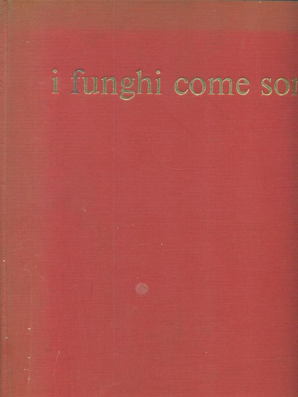 I funghi come sono