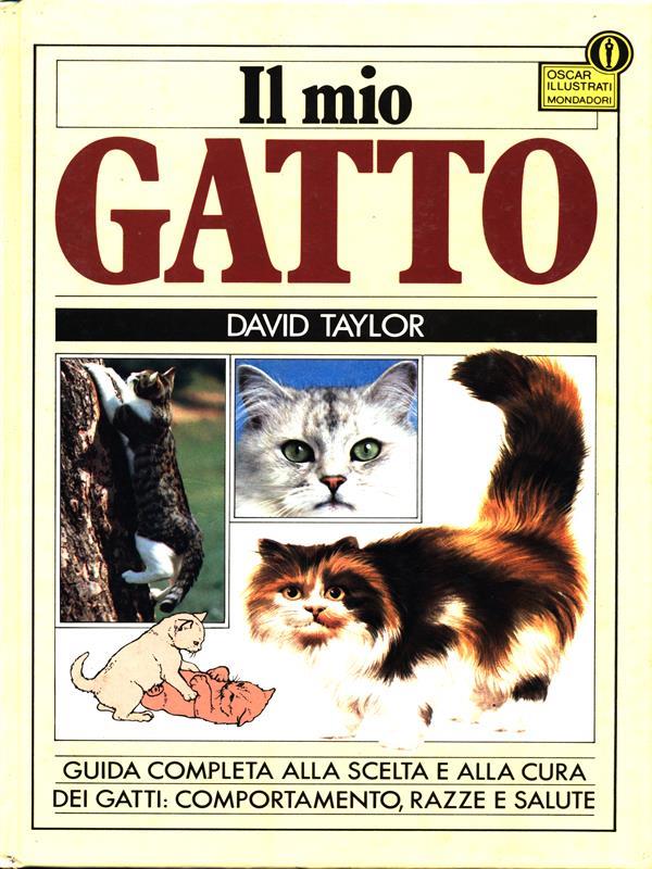 Il mio Gatto