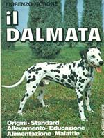 Il Dalmata
