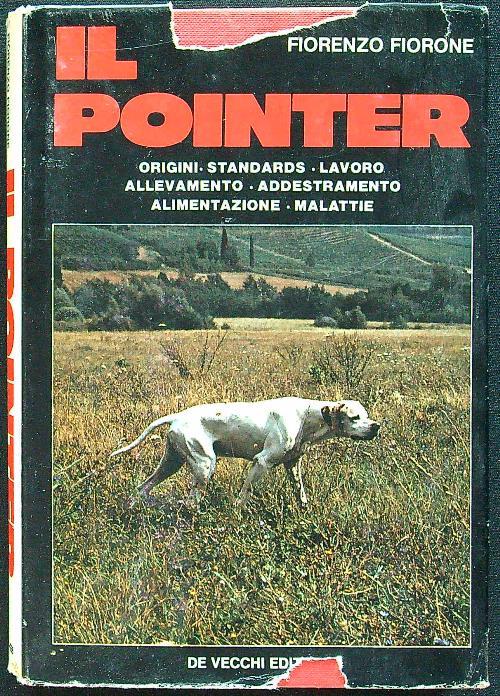 Il pointer