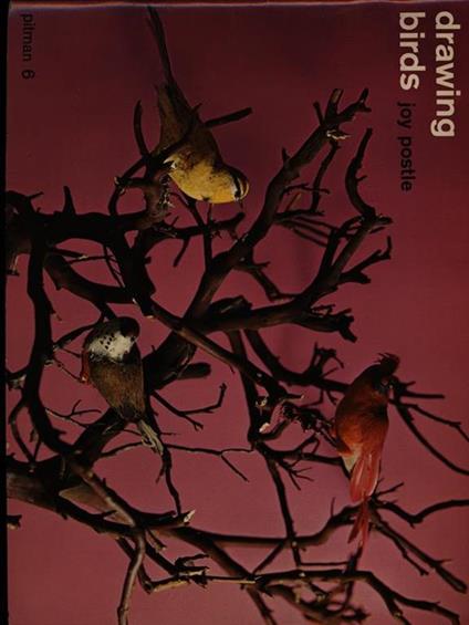 Drawing birds - Joy Postle - copertina