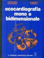 ecocardiografia mono e bidimensionale