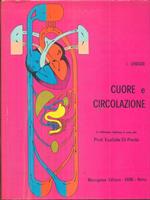 Cuore e circolazione