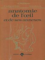 anatomie de l'oeil