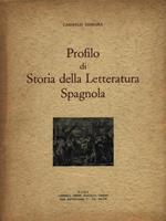 Profilo di Storia della Letteratura Spagnola