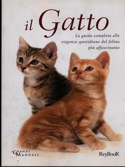 Il gatto - Moulder Felix - copertina