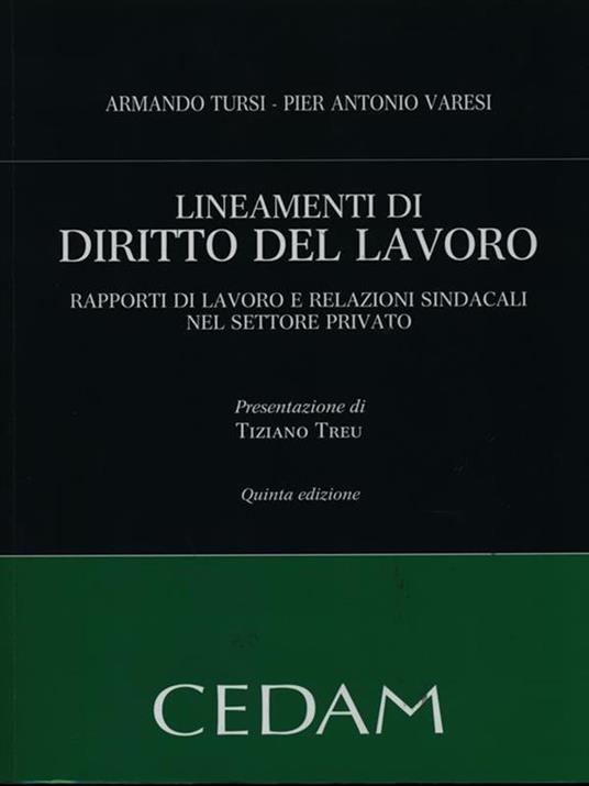 Lineamenti di diritto del lavoro. Rapporti di lavoro e relazioni sindacali nel settore privato - Armando Tursi,Pier Antonio Varesi - copertina
