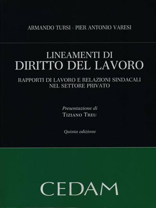 Lineamenti di diritto del lavoro. Rapporti di lavoro e relazioni sindacali nel settore privato - Armando Tursi,Pier Antonio Varesi - copertina