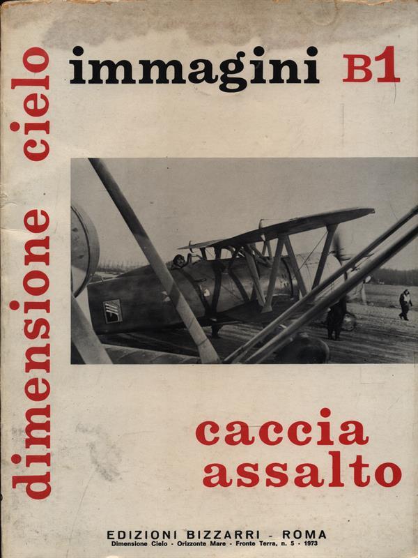 Immagini B1 - Caccia assalto