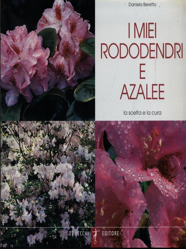 I miei Rododendi e Azalee