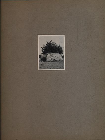 Angelo Barone - copertina