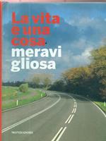 La vita è una cosa meravigliosa