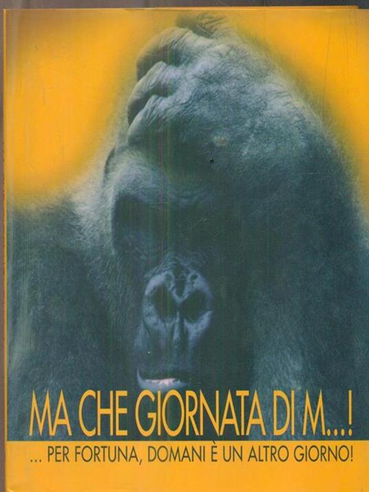 Ma che giornata di m...! - copertina