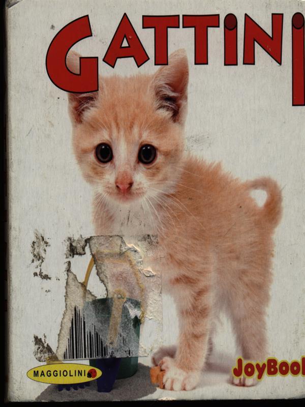 Gattini