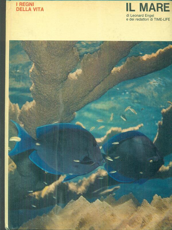 Il mare