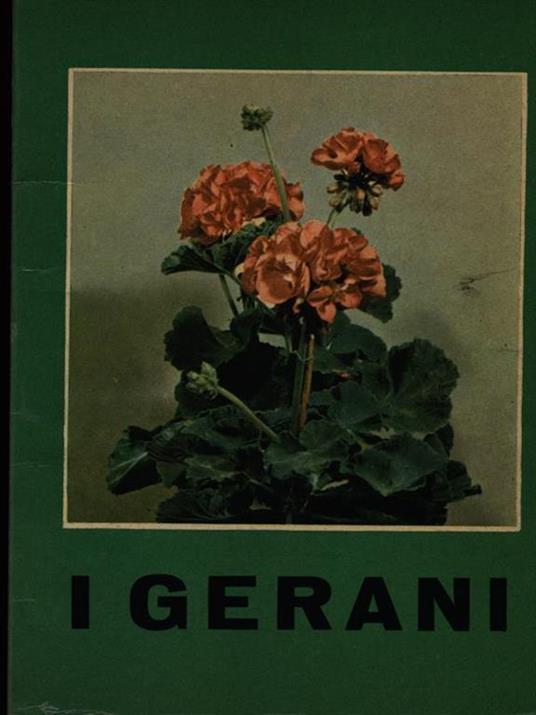 gerani - copertina
