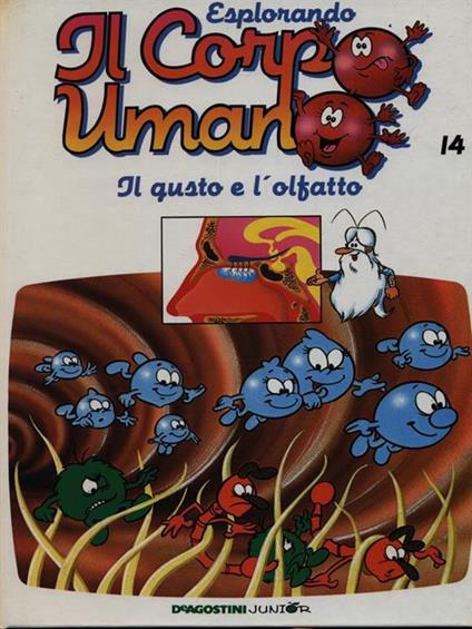 Esplorando il corpo umano 14 / Il gusto e l'olfatto - copertina