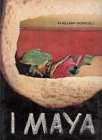 I Maya