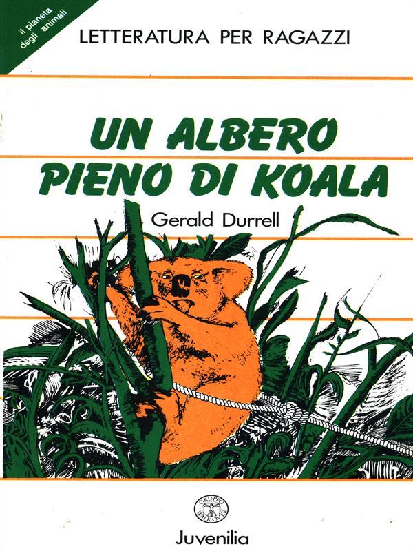 Un albero pieno di koala