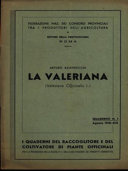 Il giudizio di Dio - Elisabetta Werner - copertina