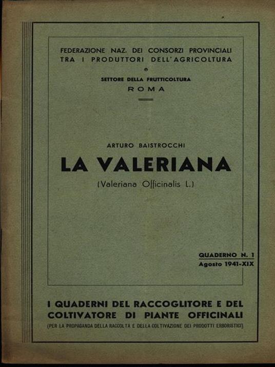 Il giudizio di Dio - Elisabetta Werner - copertina