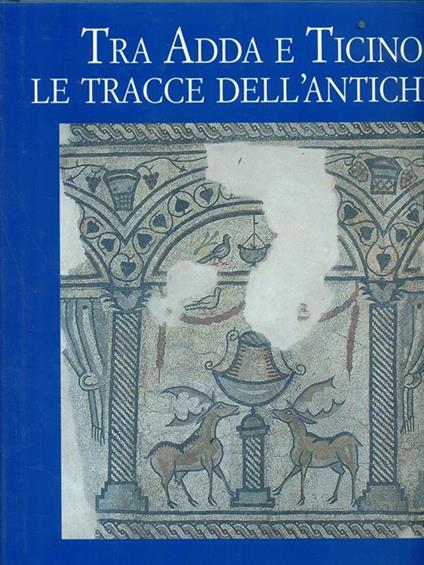 Tra Adda e Ticino Le tracce dell'antichità - M. Vittoria Antico Gallina - copertina