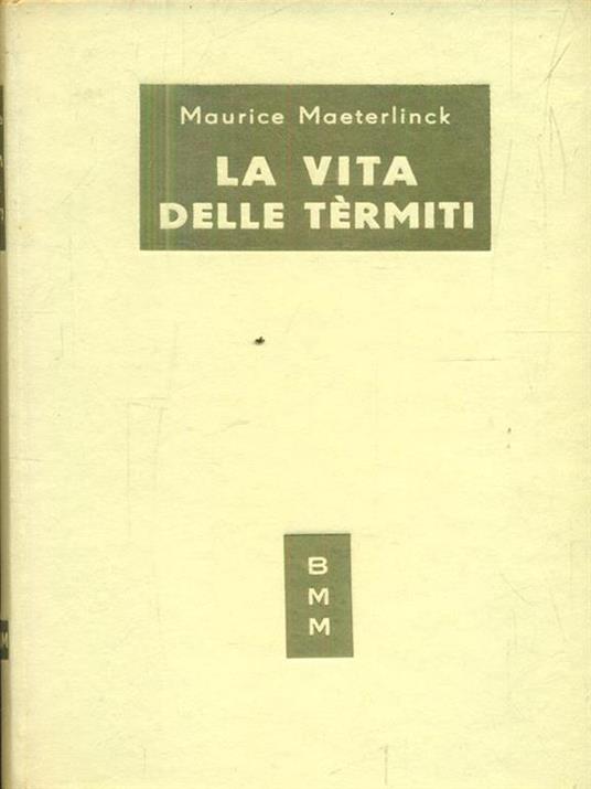 Le tre ragazze - Amina Andreola - copertina