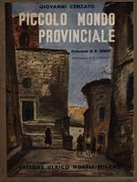 Piccolo mondo provinciale