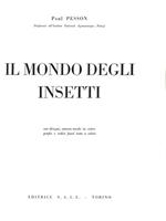 Il mondo degli insetti