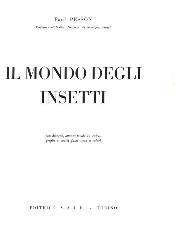 Il mondo degli insetti
