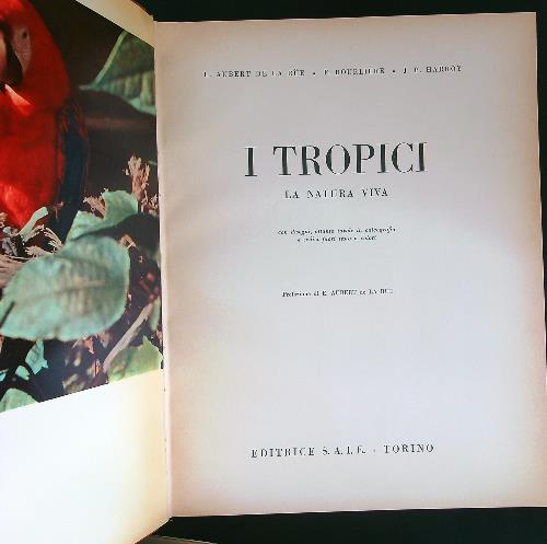 I Tropici