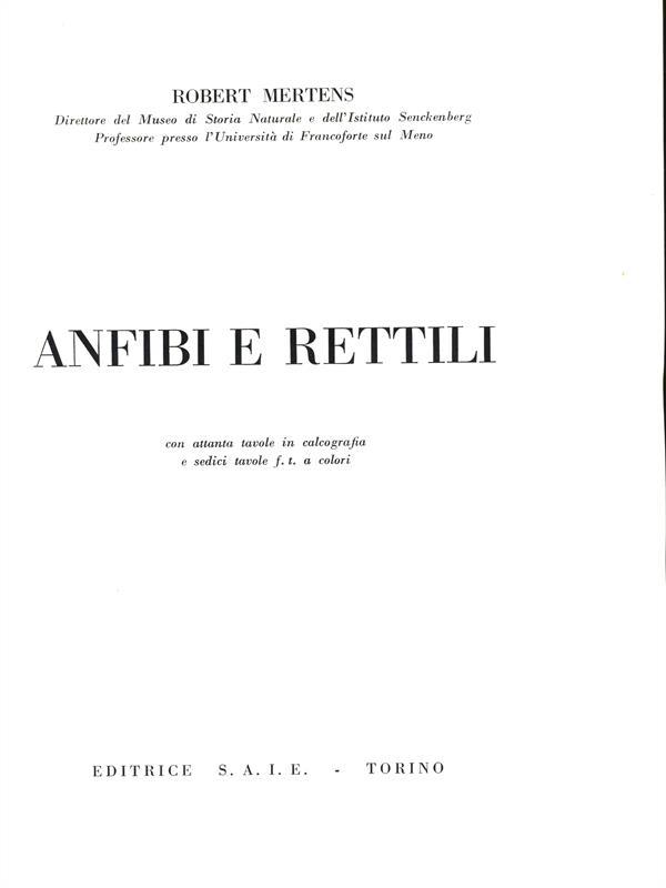 Anfibi e rettili
