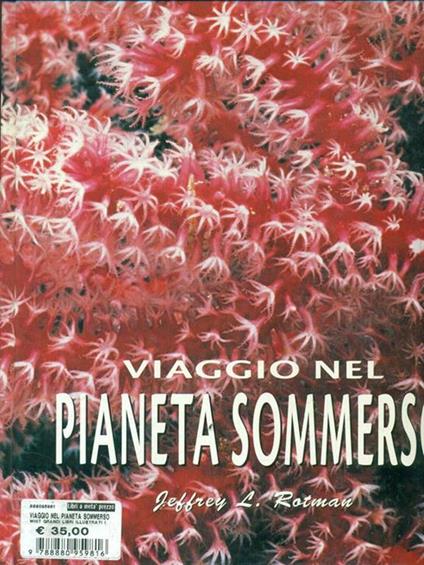Viaggio nel pianeta sommerso. Ediz. illustrata - Jeffrey L. Rotman - copertina