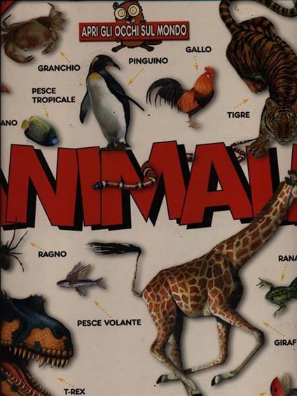 Animali 100 finestrelle - copertina