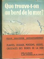 Que trouve-t-on au bord de la mer?