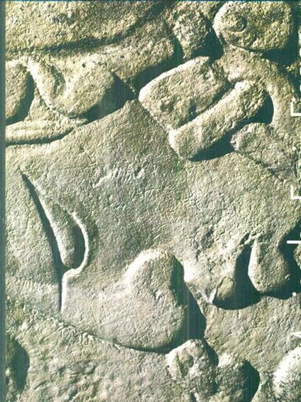 Mexico - Erwin Fieger - copertina