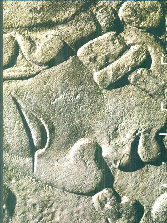 Mexico - Erwin Fieger - copertina