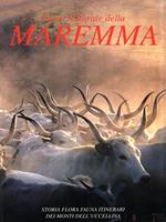 Parco Naturale della Maremma