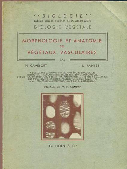 Morphologie et anatomie des vegetaux vasculaires - copertina
