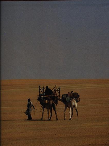 I viaggi dell'uomo - copertina