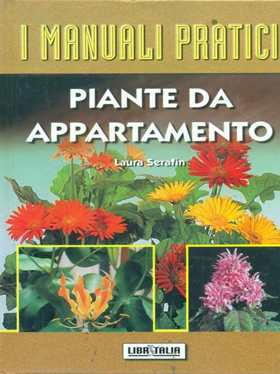 Libreria Max 88