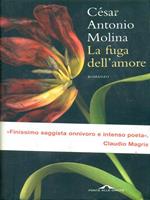 La fuga dell'amore
